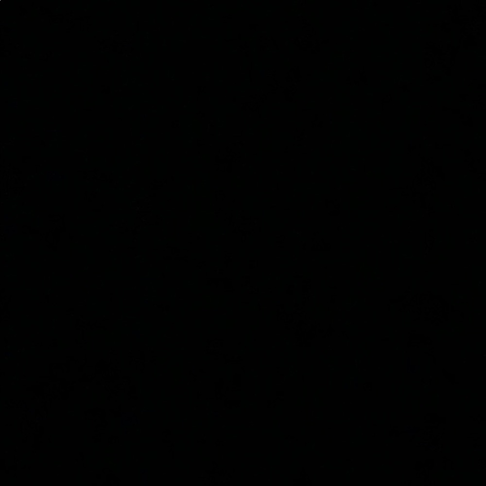 Meet your Posher, Ashari